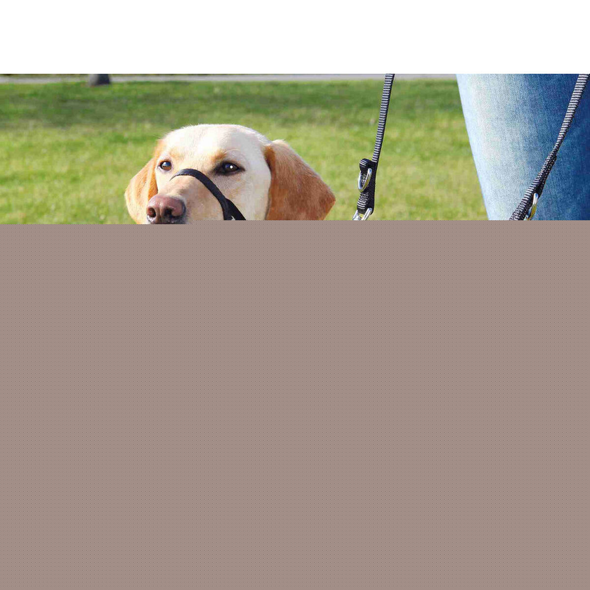 V6H546DAC53B4E45F96775CB182C18ED76FR7441177P3