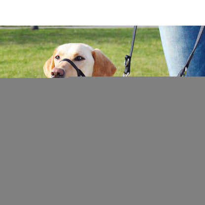 V6H546DAC53B4E45F96775CB182C18ED76FR7441177P3