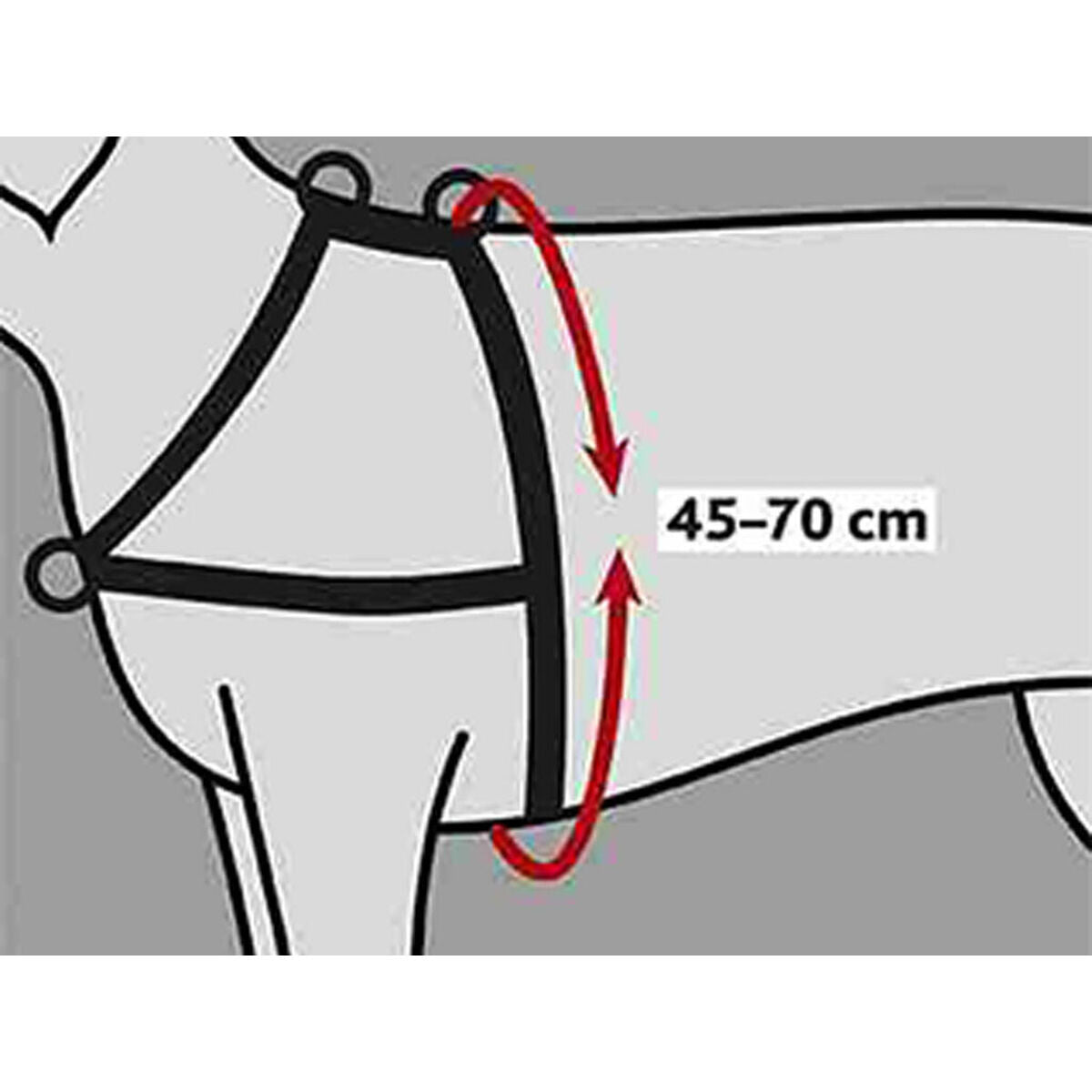 V8HDD7AB7C69E423EC9A6F295B3D8969F72R7441863P2