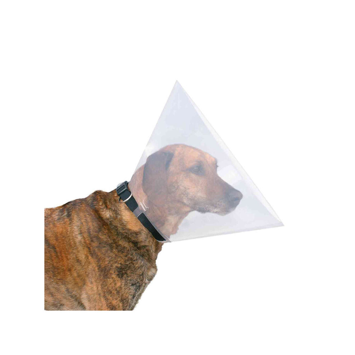 V7H991113B86E959B311C3203C4EED6D7DFR7440539P3