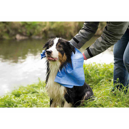 V2H78FCB2FCCCE9B6DFDCDD866FA56855F6R7614252P4