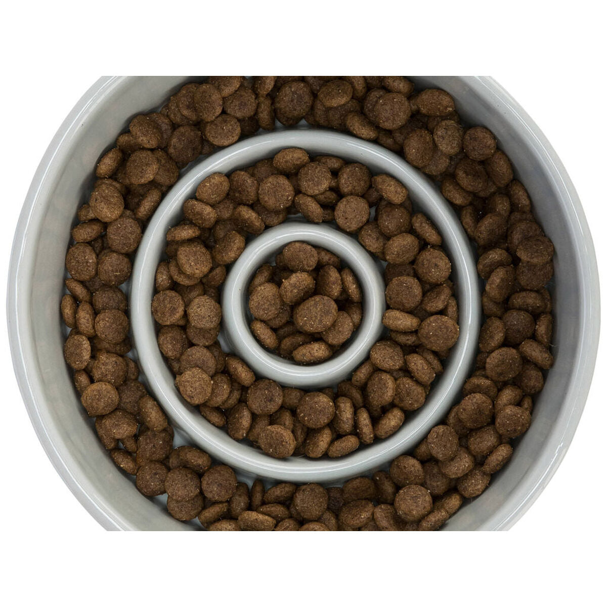 V8H32C8162D5000A588F5EF3090BA1A2159R7455370P7