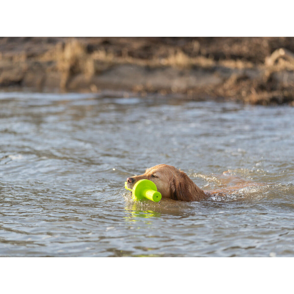 V7HECBC36EF0252535BF2C91AB4D66FAFF3R7443186P7