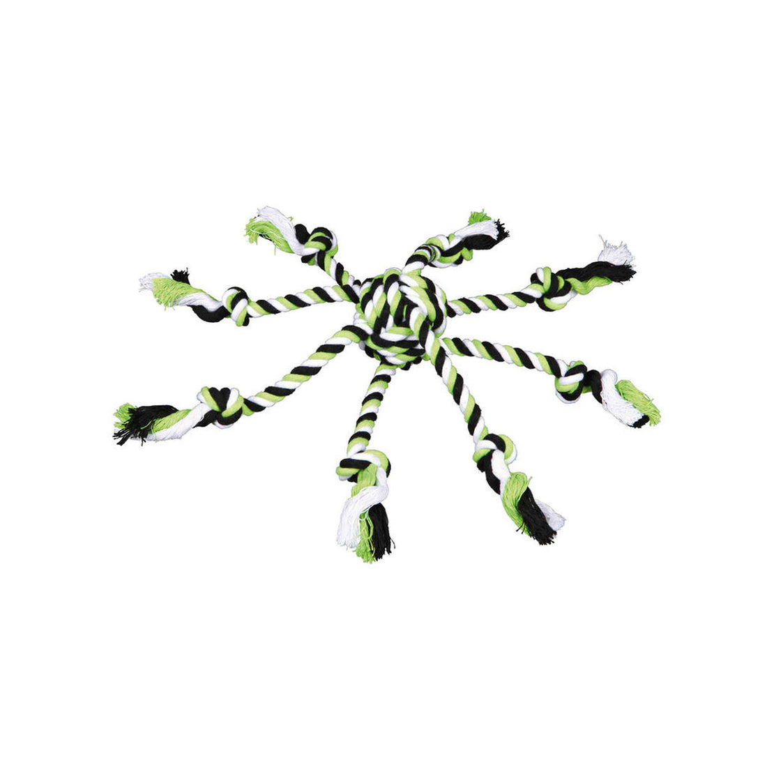 V8H1889D6203CD55E300992B409D44CF7D6R7443273P1