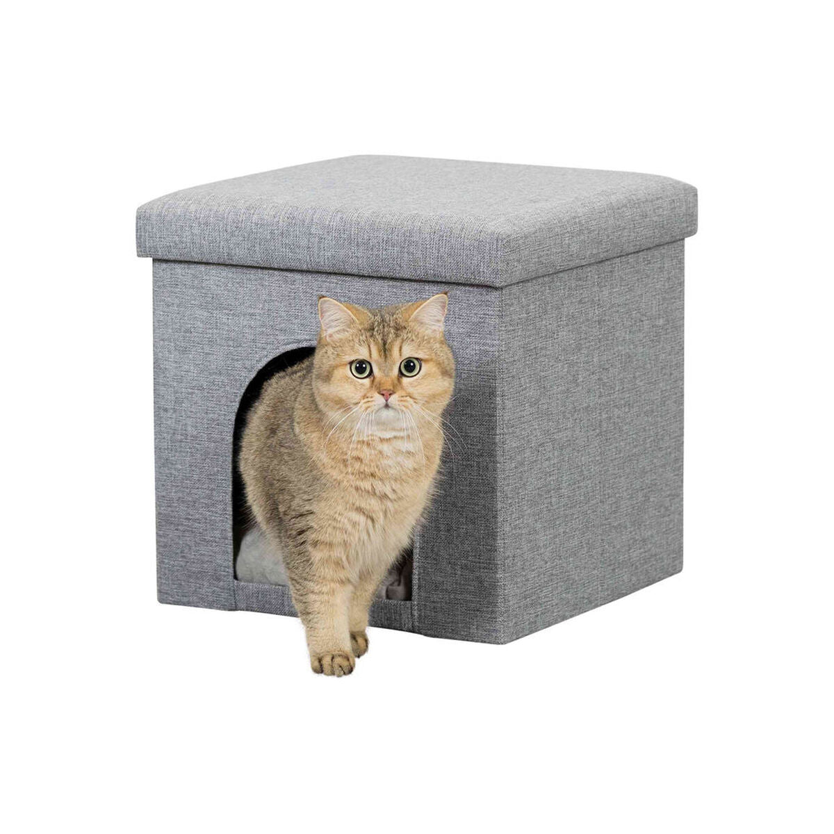 V10H05A66B21AC4CF36CF5BFC083C7A4F0A3R7440949P1