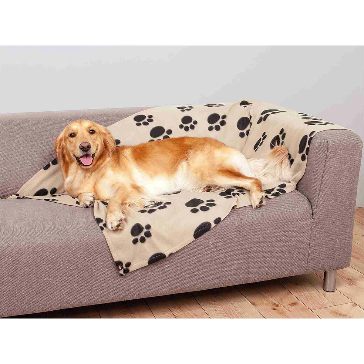 V6HEC1BACBC59D7E3FC1B25FA48EF21D64FR7440828P3