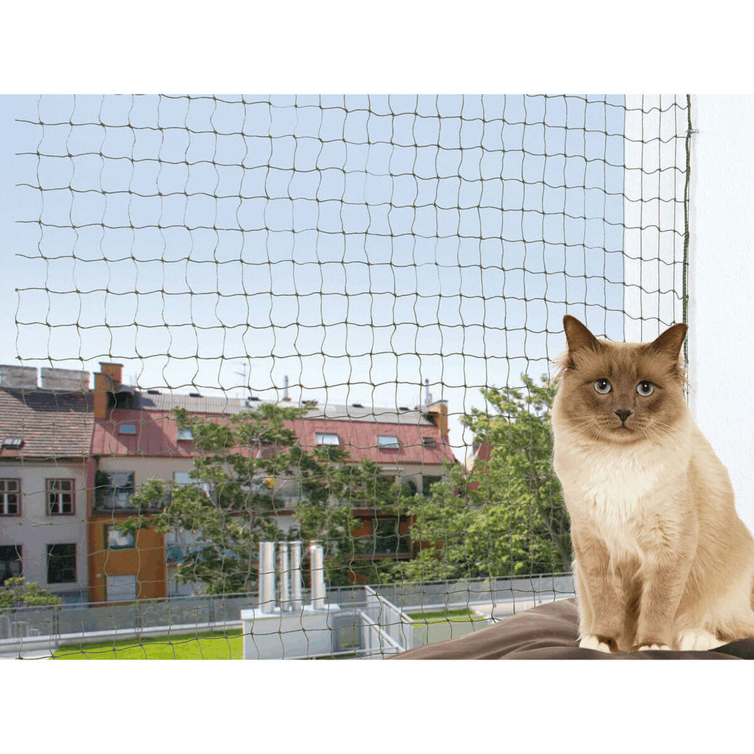 V6H1CDDFE7163ACBB12A642FCBC92FE558ER7444816P1