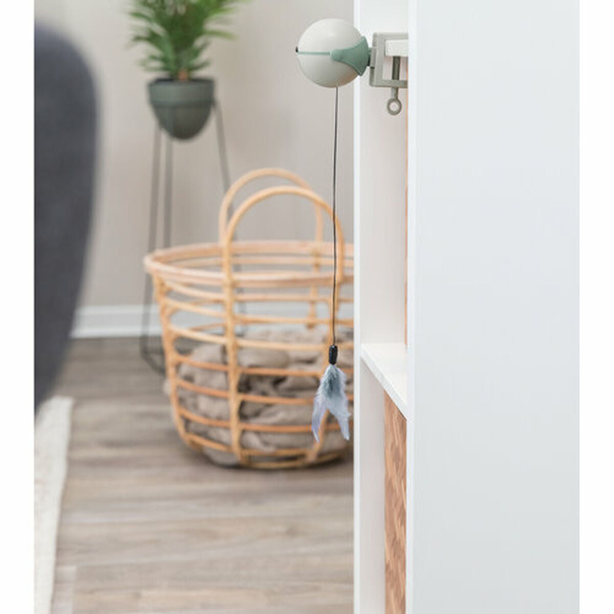 V7H2A0B864005D766EA963A424C2EAD8FBAR7447297P6