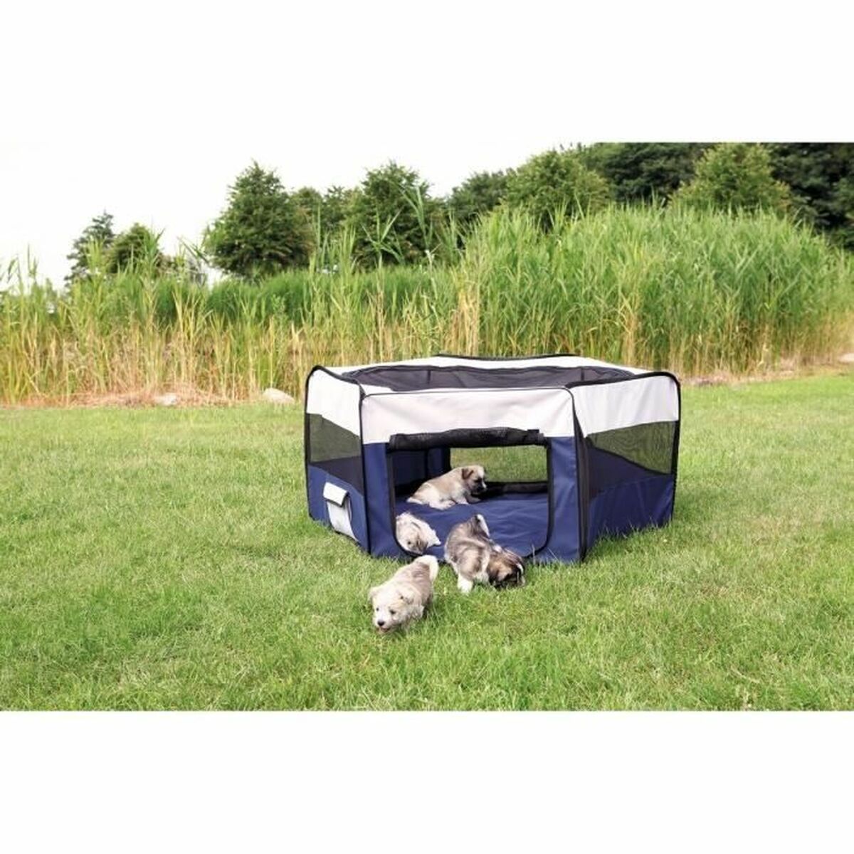 V5H7C7BF6B55EE7B283C5490A0E11E05379R5138585P3