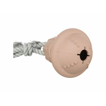 V4H6E2C629D5588E202A3B6DCEC1113BD62R7503497P5