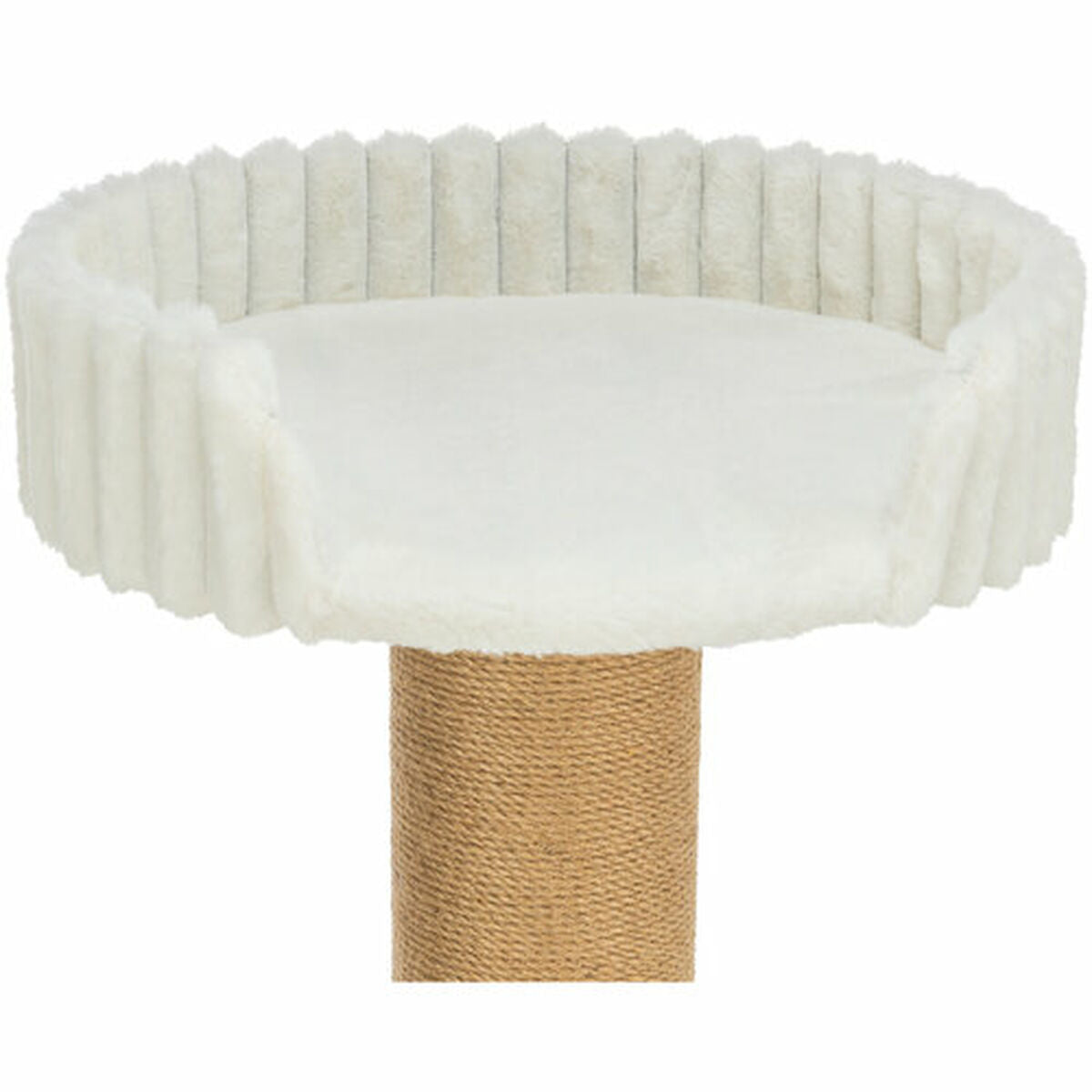 V4H7BD74B9EEC35538D480CB9F33B00FFA2R7449446P10