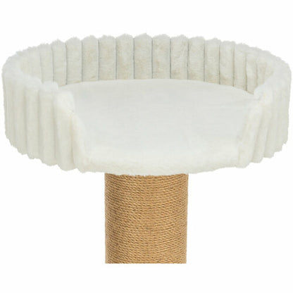 V5H7BD74B9EEC35538D480CB9F33B00FFA2R7449446P10