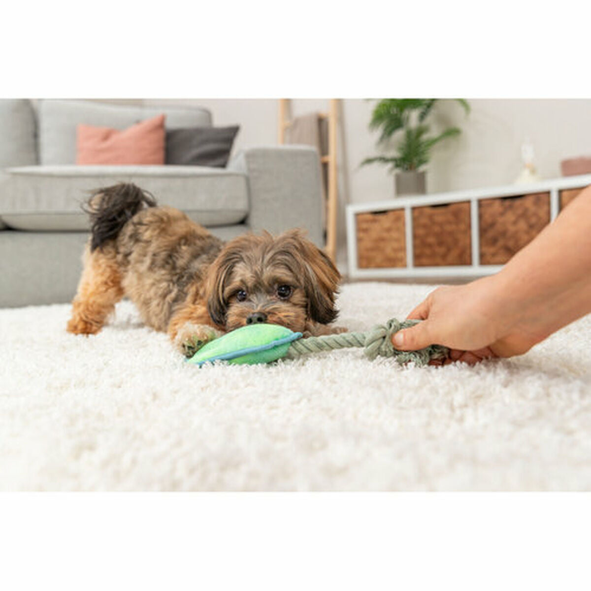 V4HFDCC0FE6EA8790430B5318DDB6F201C4R7462188P6