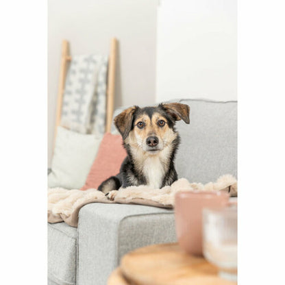 V4H5B9268D7D82543364DD3C599576895A2R7463014P4