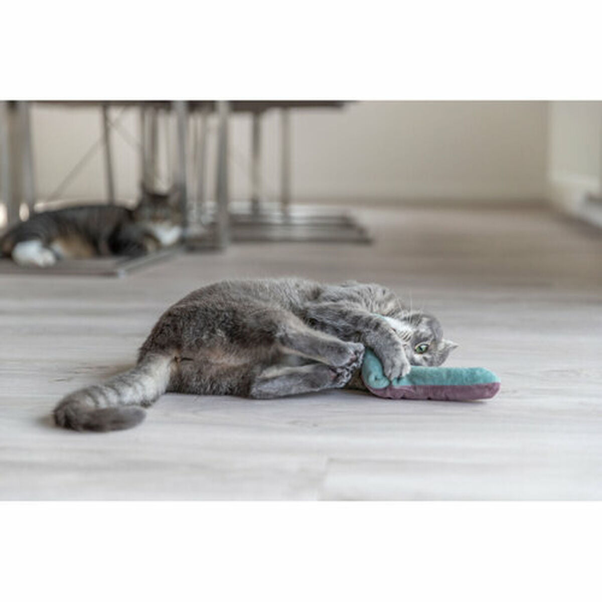 V4H6C54268904FB241B5B937905CDE0A860R7462233P8