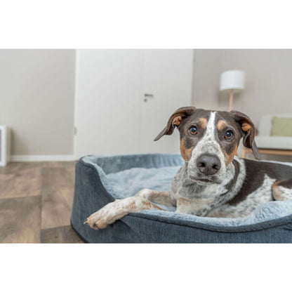 V3H539618F588FF2DBF063B843DF7D422E6R7472424P7