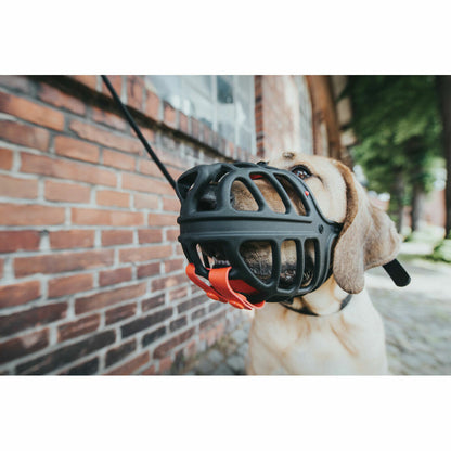 V10HF4DAE80AE776107B1655C2C37066B816R5597929P2