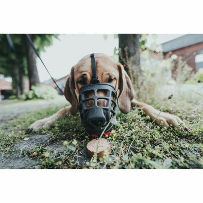 V9HD6ED2A24E27E91DE6A7551B111713AD1R4989128P2