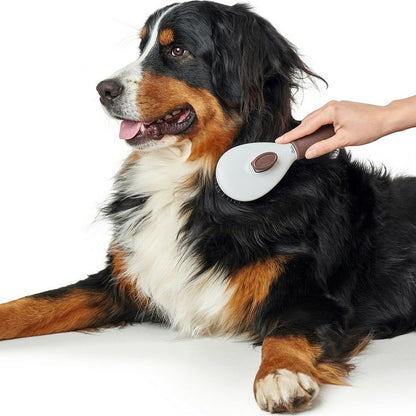 V11HDC1E4F4F9475A1652A878A81C7F37160R4014051P4