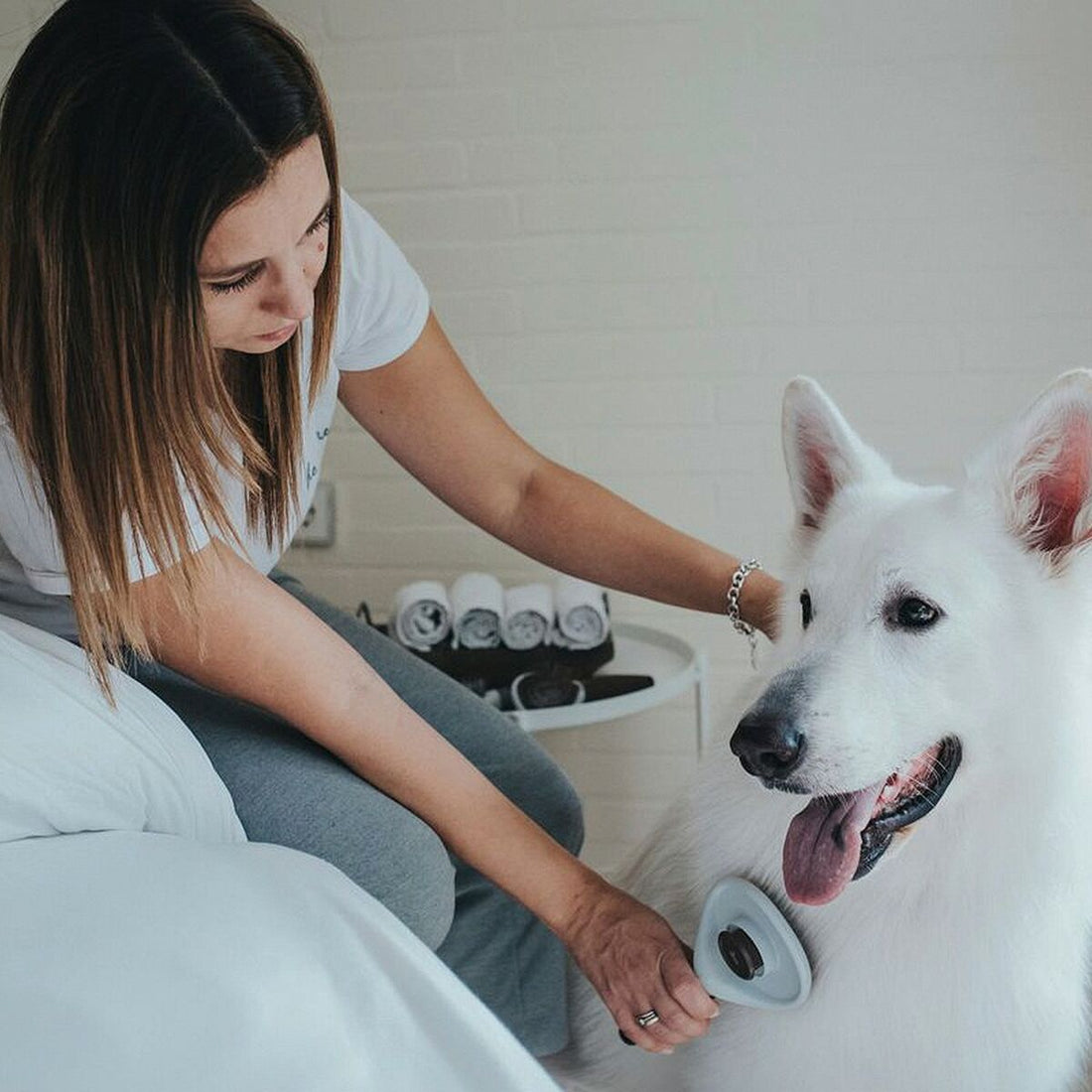 V10H68EAF44D3685C05FBCA0DC267522269ER3618607P2