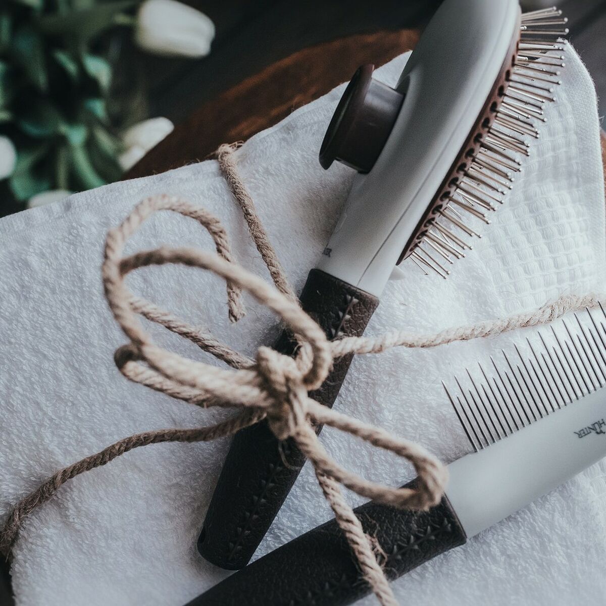 V11HB88C0B3ABBF9EE4C852E137702648200R7431109P3