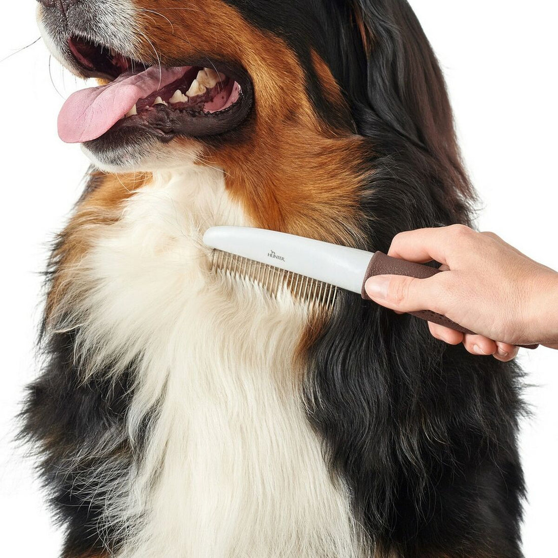 V11H894988CD0BFC3D4771E26819131C23F0R5597839P2