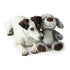 V12H8BB69AD5EC676EE28570D2AD95562623R5568107P1