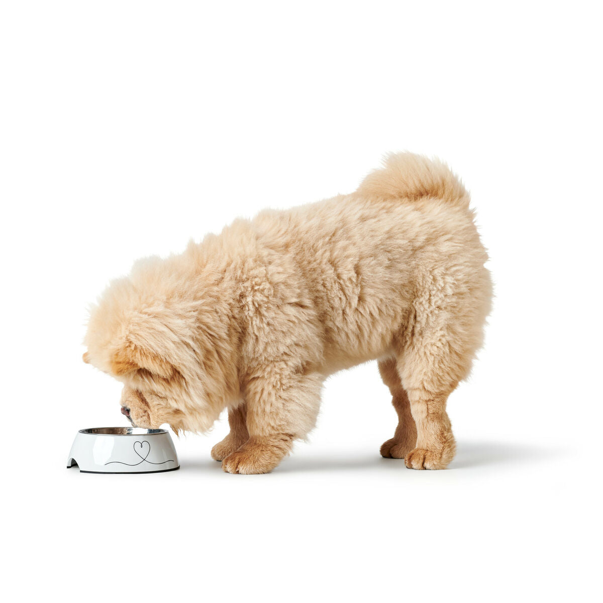 V4H68DE278E11D5F6DEA536399E08B32857R5574386P2