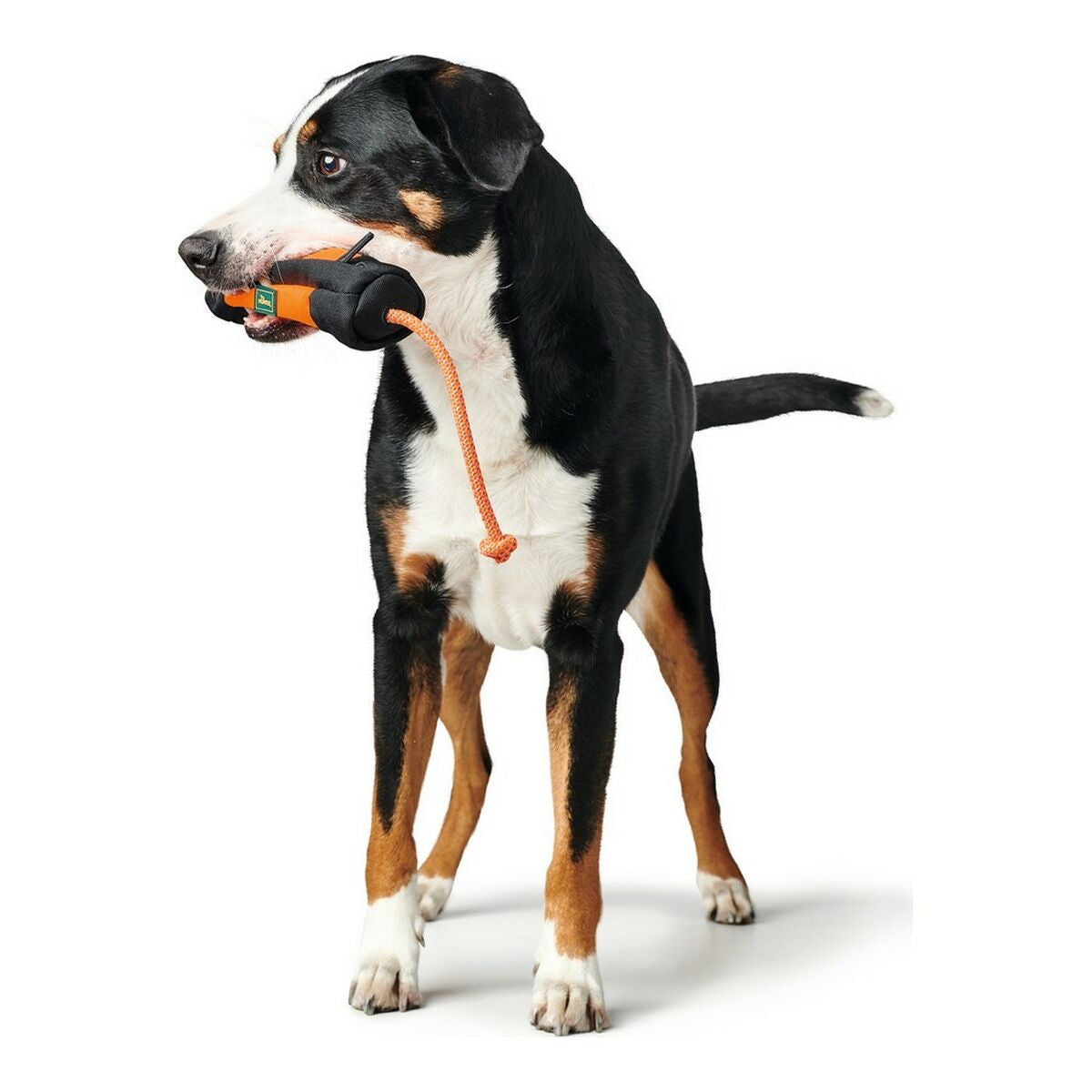 V11H5B9CA5F93F34598B97471A8EB81DC6A6R3888689P4