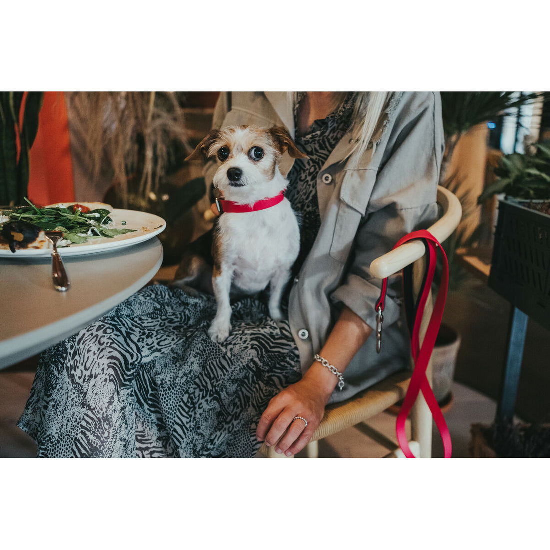 V7HE45388FB7FCD6A9FD34A0AEED93F6C6BR3622776P2