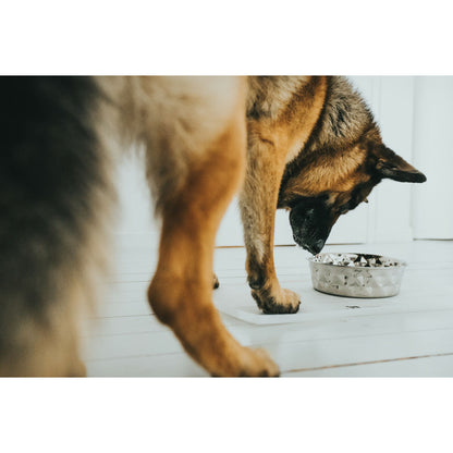 V6HF005C6F28731E7A99A0B23D7DC2A6CC8R4438159P5