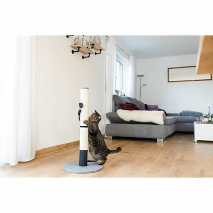 V5H9B1FC00B2AB9F081C486A85085AE6D77R5763411P4