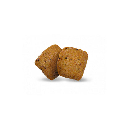 V7HC4A485D35D6735F467EF795E89B8E0E8R7502515P2