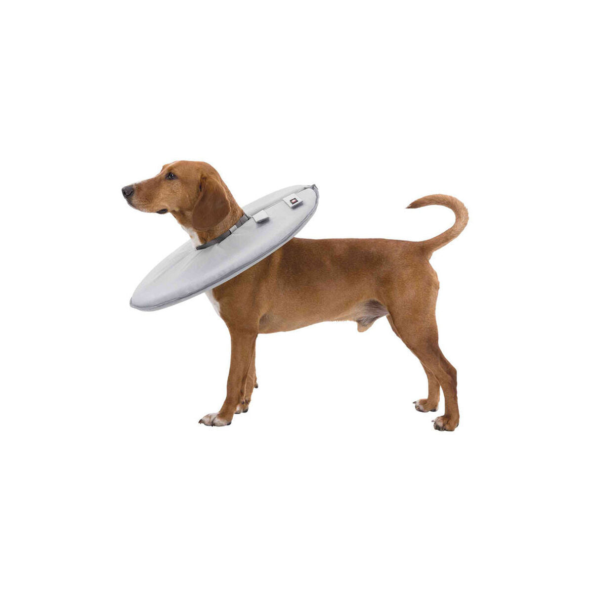 V7H6A6B8D48466F8B72151A774BEAB05142R7440217P4