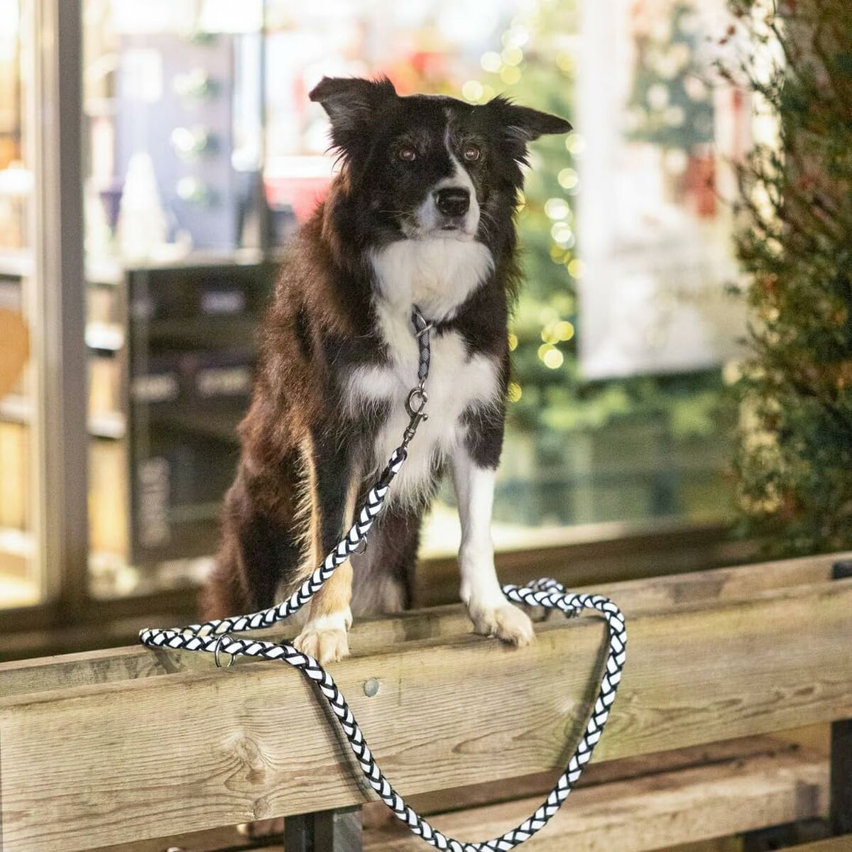 V7H4669309BE9667ECF2675FB29C42F32DDR5329950P4