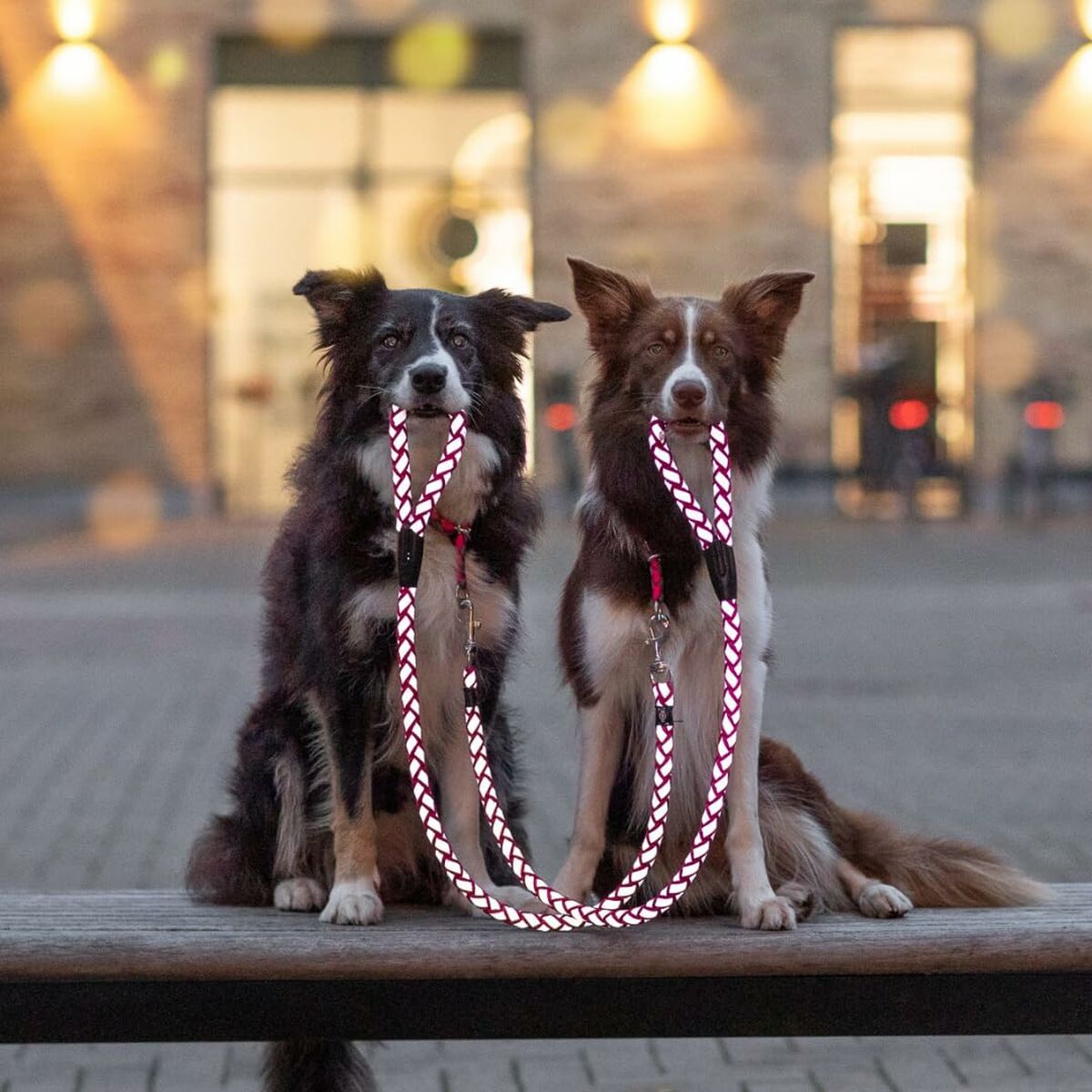 V7HE262A149F3D5D776F1D07A53C0EA1B99R5329953P5