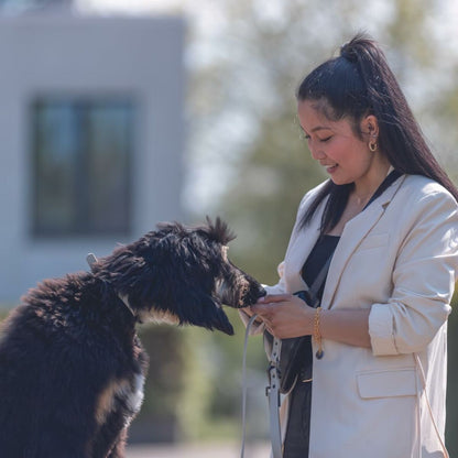 V7H23A8D68EC979CFCCE80CC2063E4545E5R5330439P6