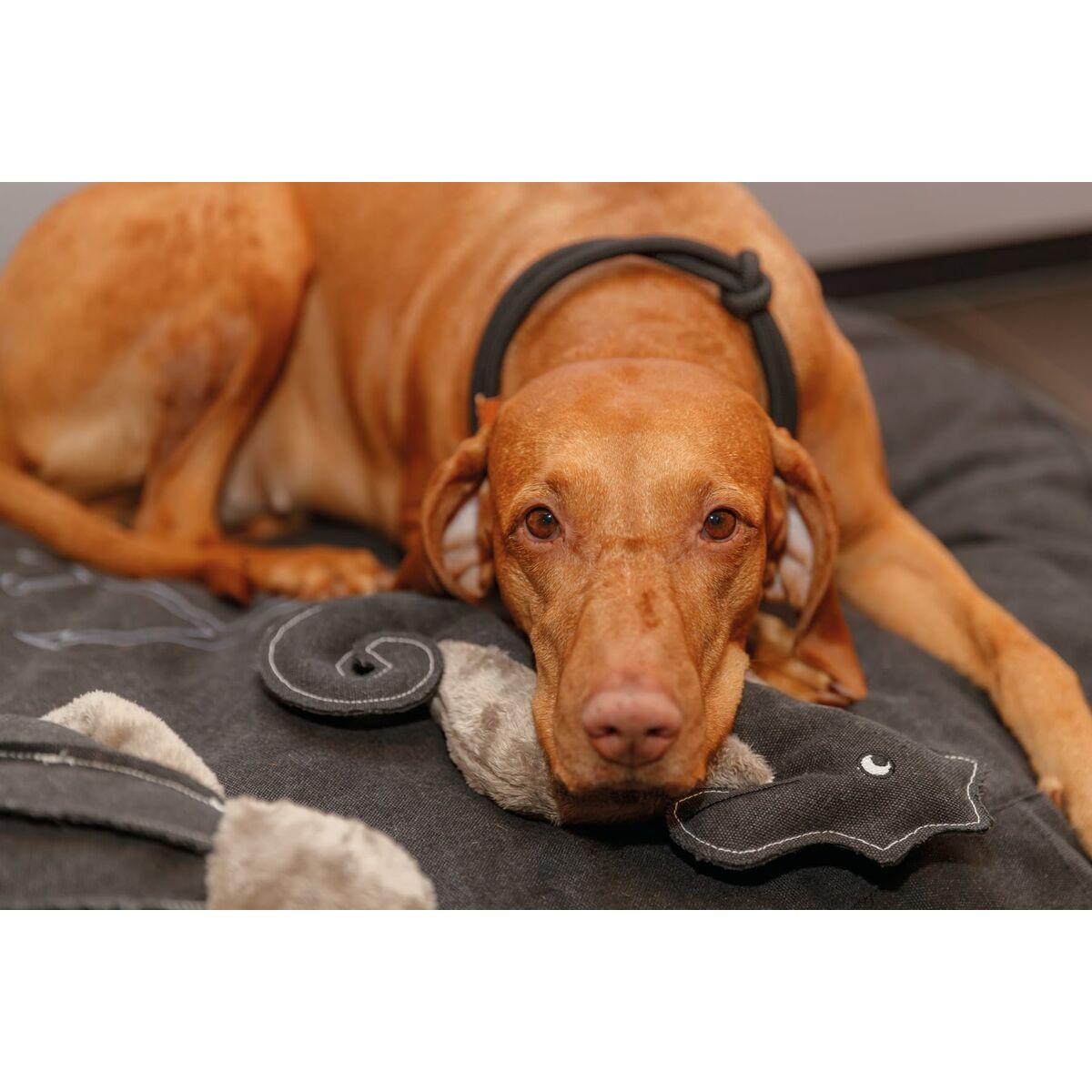 V7H1CCA800DC76BFD206027545FB5FA3D55R5329780P4