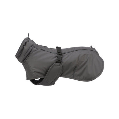 V6HA1D73FC9F2EE93793C01BC1D887639C5R7460742P1