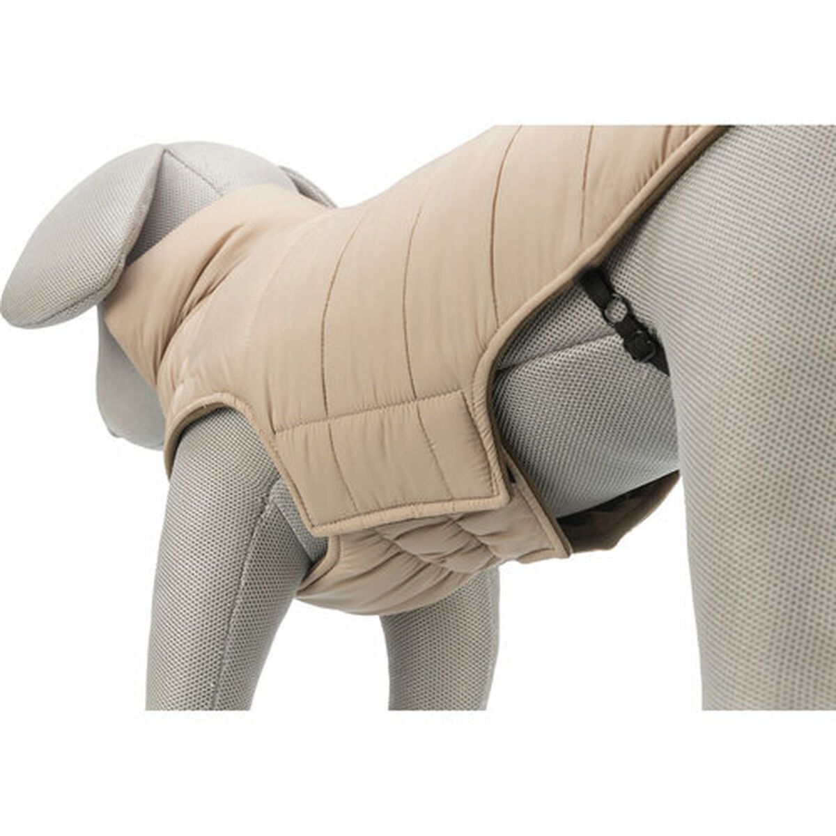 V6H50F5EB553F45BE5161E86D5797A9A0B1R7461136P8