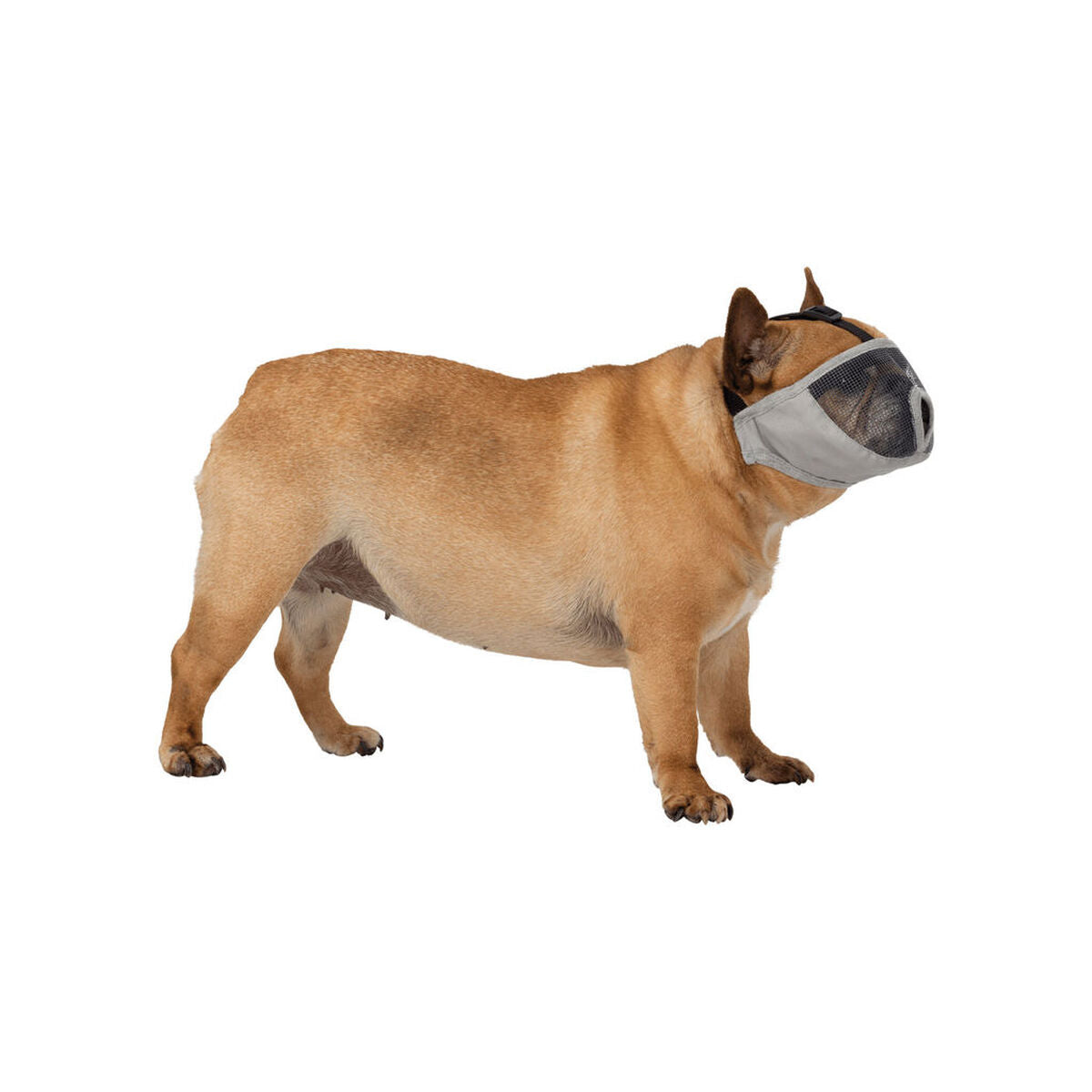 V6H1981D4E16B2E7A2E6625E750A90A5491R7441880P3