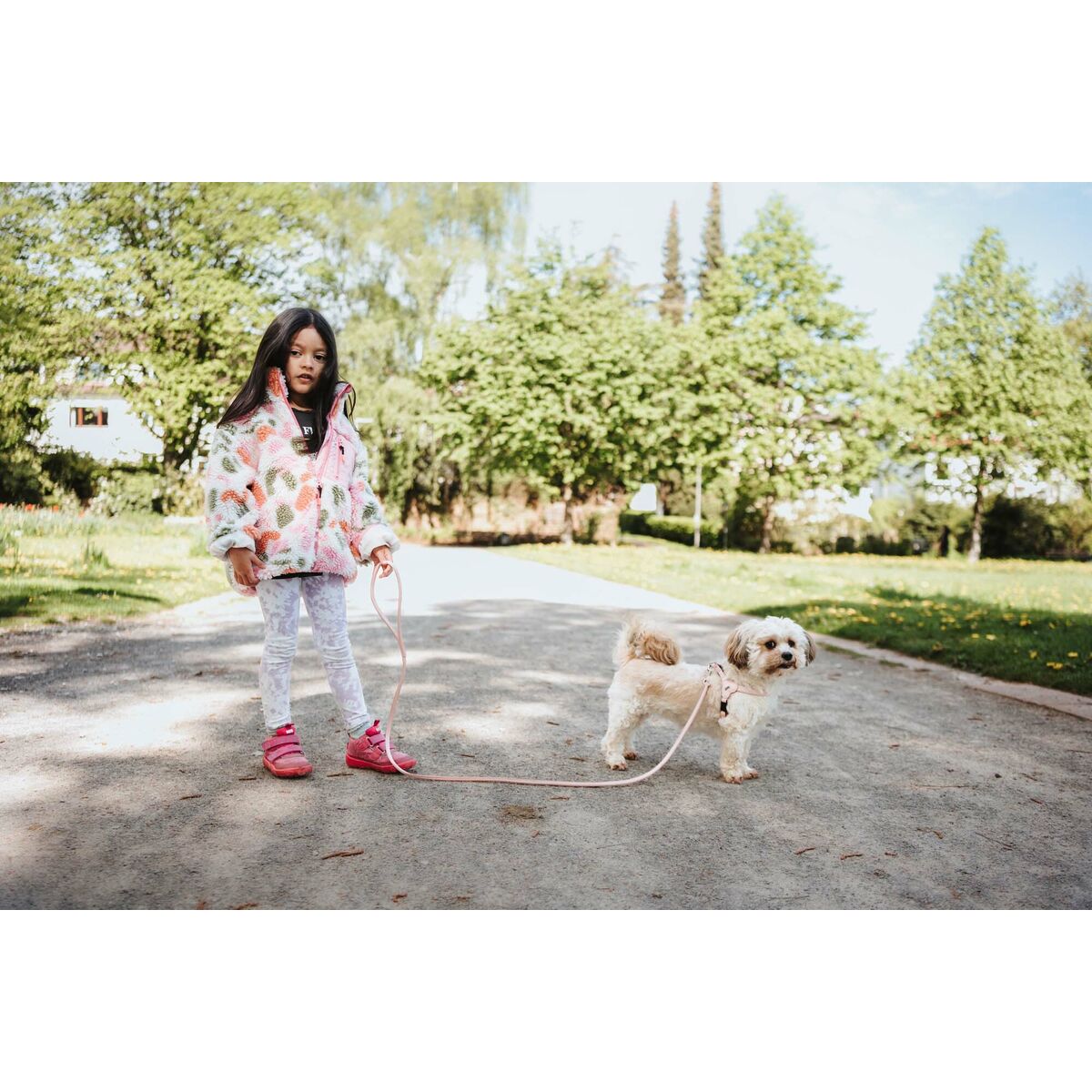 V4H53A09D1E79BF6CC87134D0657F9DD521R5575570P3