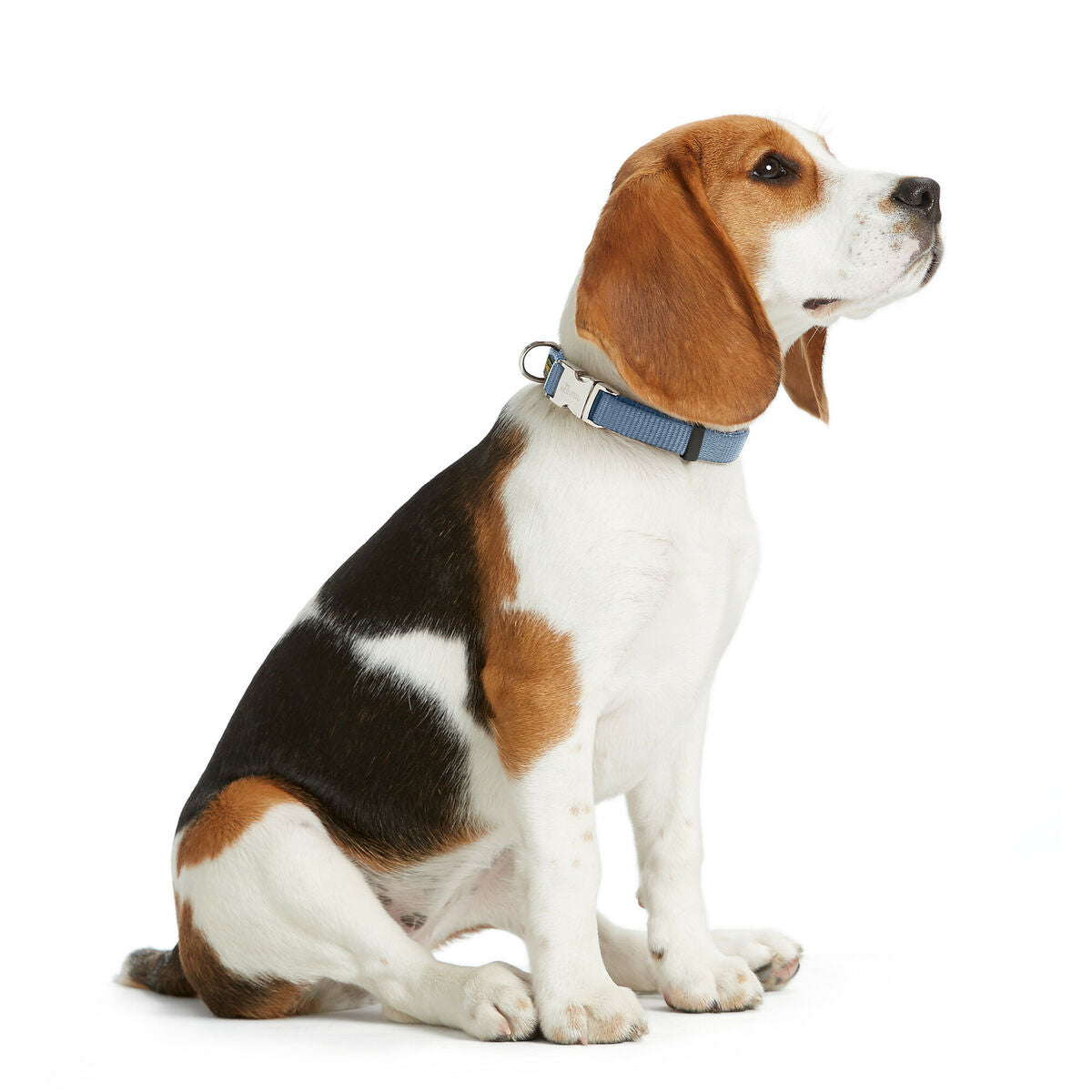 V4H7AAB4A0DA227D64B2223DCC3E9ABA6C1R5582612P2