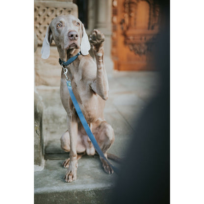 V4H522BA3E1087093E0CB098FC8878552F5R5584344P4