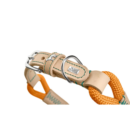 V4HB0C14CDB28F5A2D91D470A5D69C40FE6R5575465P4