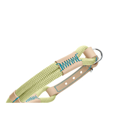 V4H496812FCA64775BC18C4B8659A555297R5575469P4