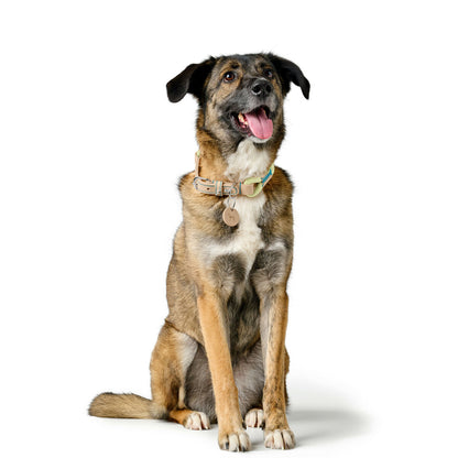 V4HA4343B6EB71B96EFC906A72F8204E452R5575472P5