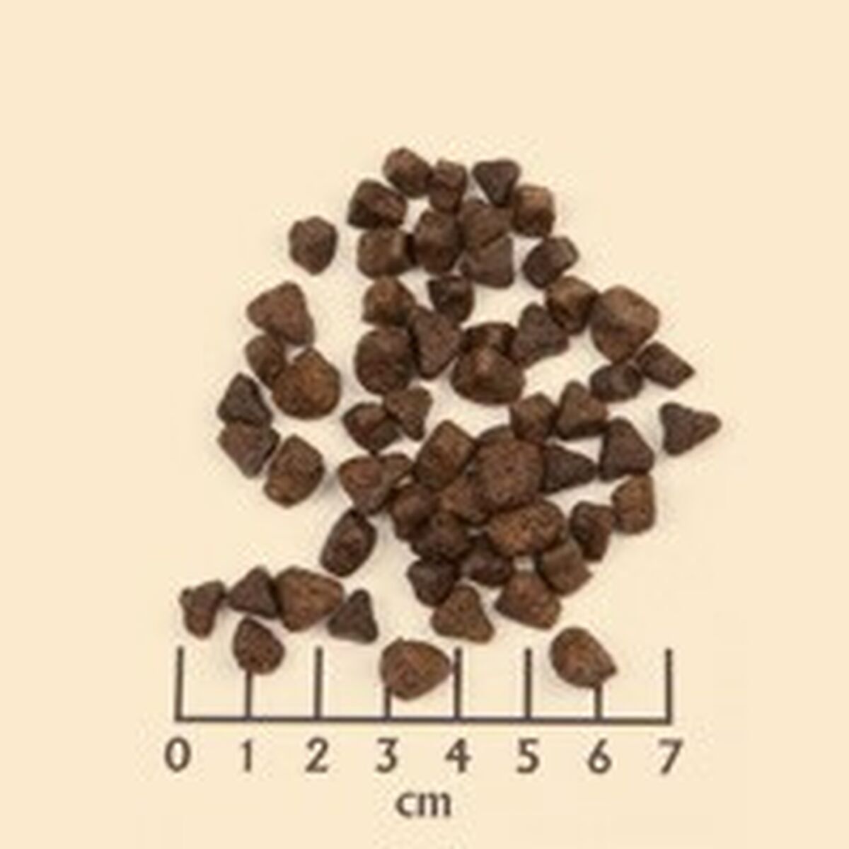 V4H3F7BCDF0EC6701A2774FCB84497E2AB6R6454319P2