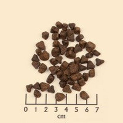 V4H3F7BCDF0EC6701A2774FCB84497E2AB6R6454319P2