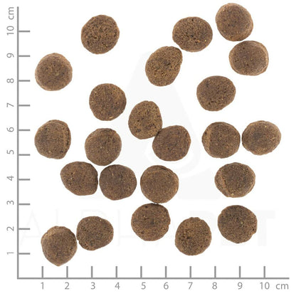 V4HFEE15AD5C907A2C1644B5B29D544BCF7R6454299P9